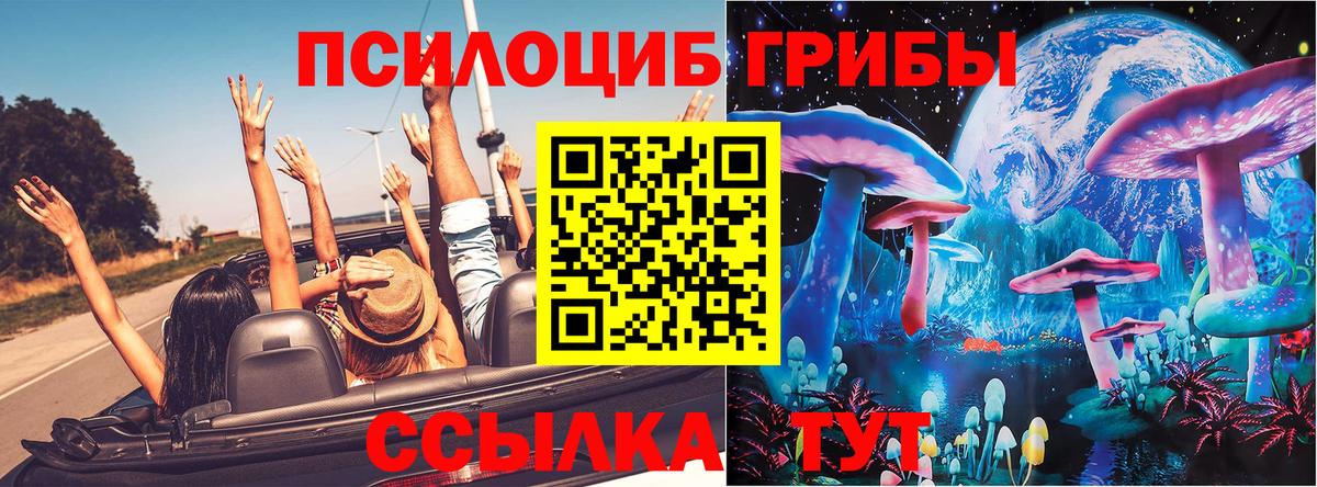 Псилоцибиновые грибы GOLDEN TEACHER Родники