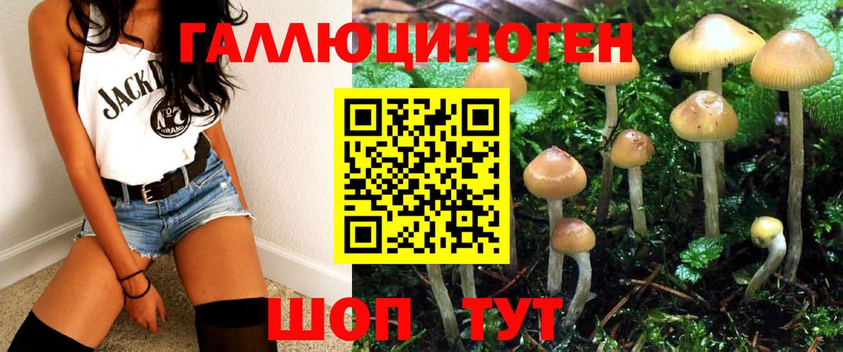 Псилоцибиновые грибы Psilocybine cubensis  Псилоцибиновые грибы ЛСД  Родники  купить наркотик  Вход с VPN 
